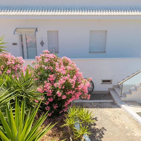 Apartment Antonella's House - S